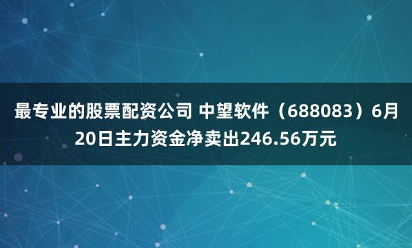 最专业的股票配资公司 中望软件（688083）6月20日主力资金净卖出246.56万元