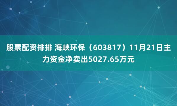 股票配资排排 海峡环保（603817）11月21日主力资金净卖出5027.65万元